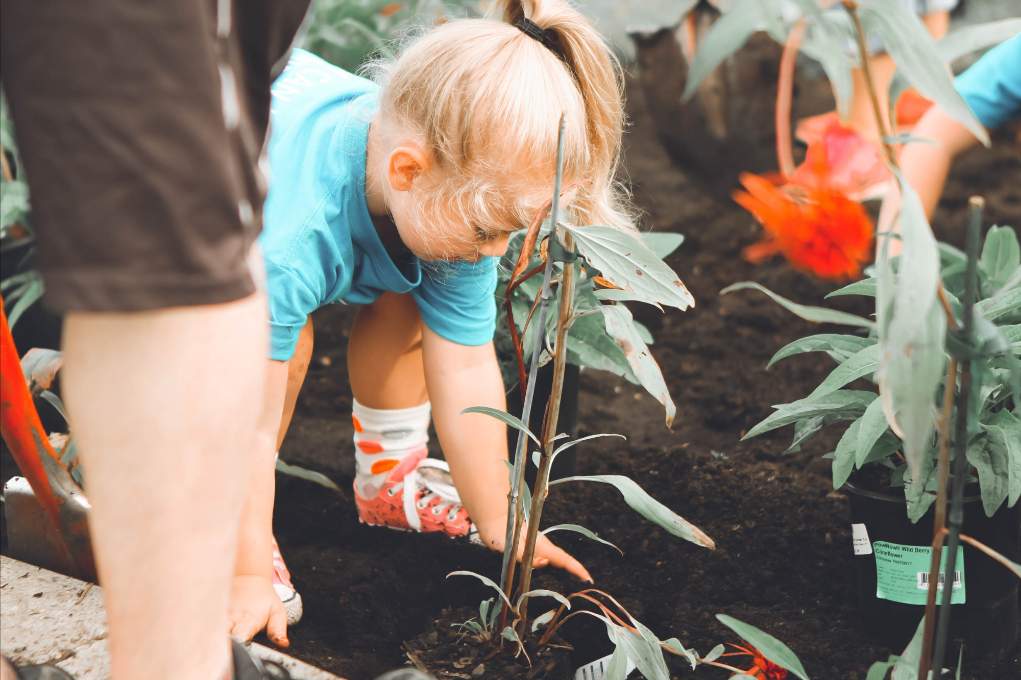 The Soil of Community